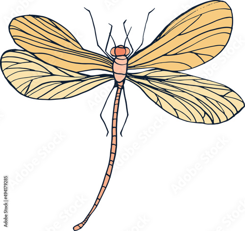 Yellow Dragonfly Flying Hand Drawn Vintage Illustration 