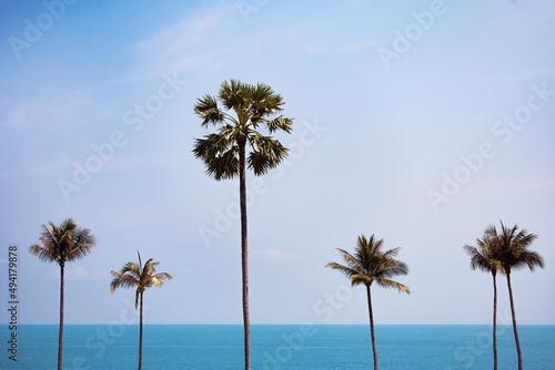Coconut palm trees with sea and blue sky background.