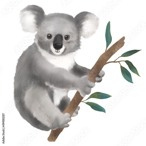 Canvas Print Isolated Hand Painted Watercolor Koala on Eucalyptus Branch