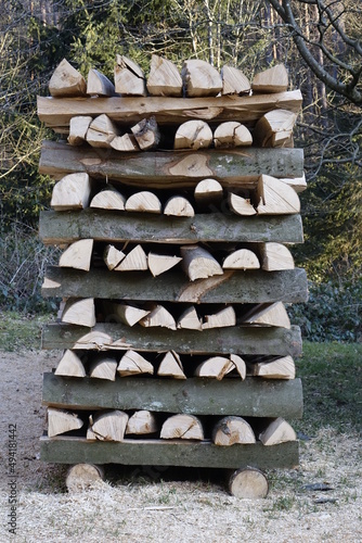 Stack of chopped beech (Fagus) logs to be used as fire wood (vertical), Esthal, Lambrecht, RLP, Germany
 photo