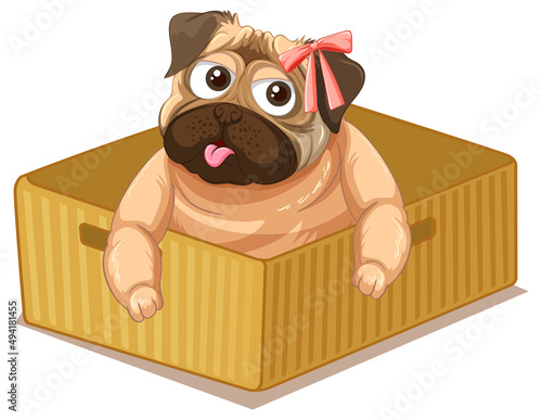 Cute pug dog in a box cartoon