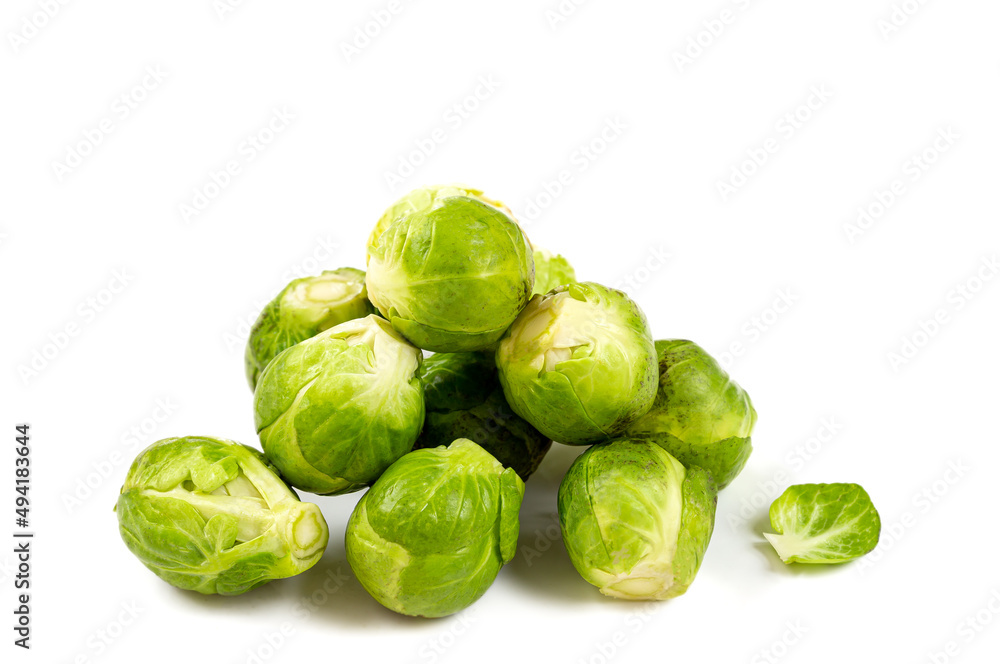 Brussels cabbage French: choux de Bruxelles are the smallest cabbages in existence Brussels cabbage French: choux de Bruxelles are the smallest cabbages in existence