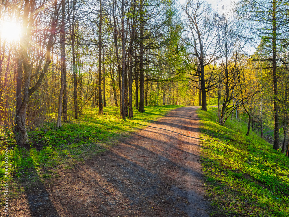 Bright sunny spring day in the park. The sun's rays on a shady park alley in spring.