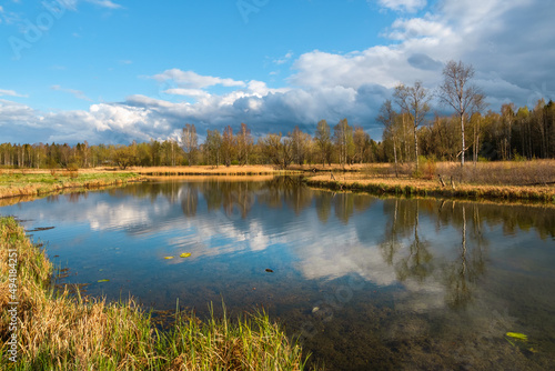 Bright dramatic spring landscape with an old pond, trees on the shore and reflections. Greenery spring sunny landscape with old pond.