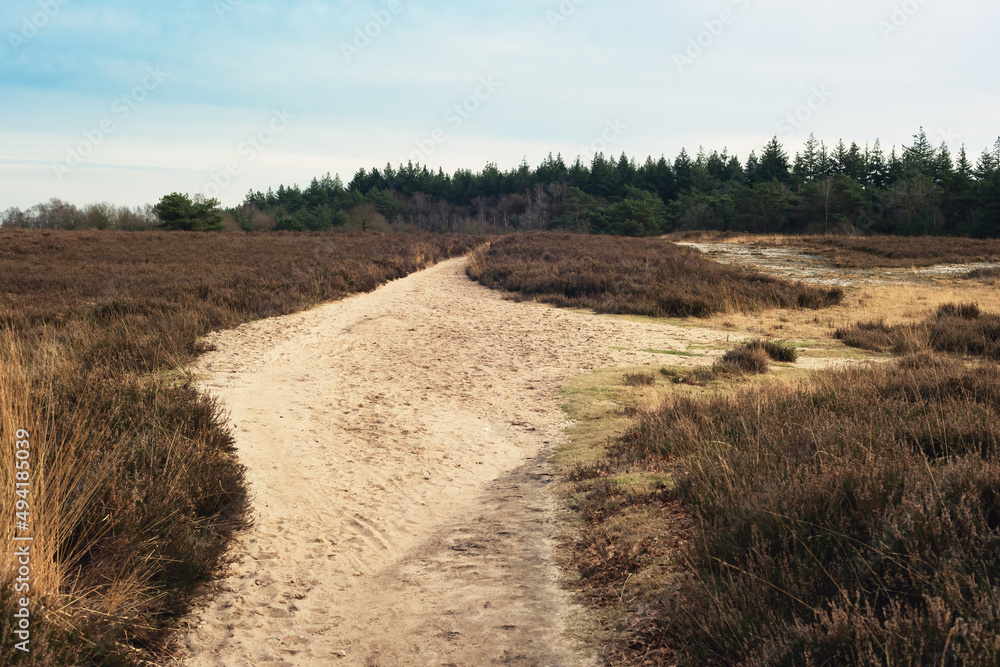 Fototapeta premium Hiking trail in a wide moorland landscape in a nature reserve in winter.