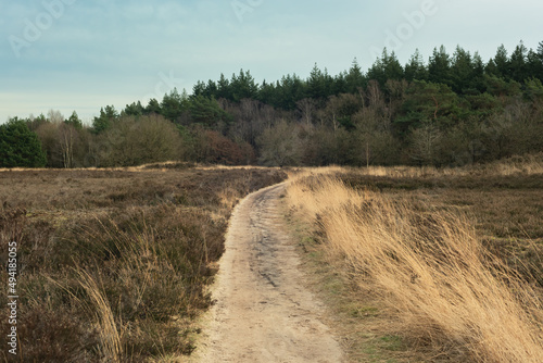 Hiking trail in a wide moorland landscape in a nature reserve in winter.