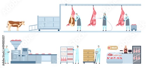 Beef product manufacture process infographic from farm cow to market. Meat food production and distribution. Sausage factory line vector set photo