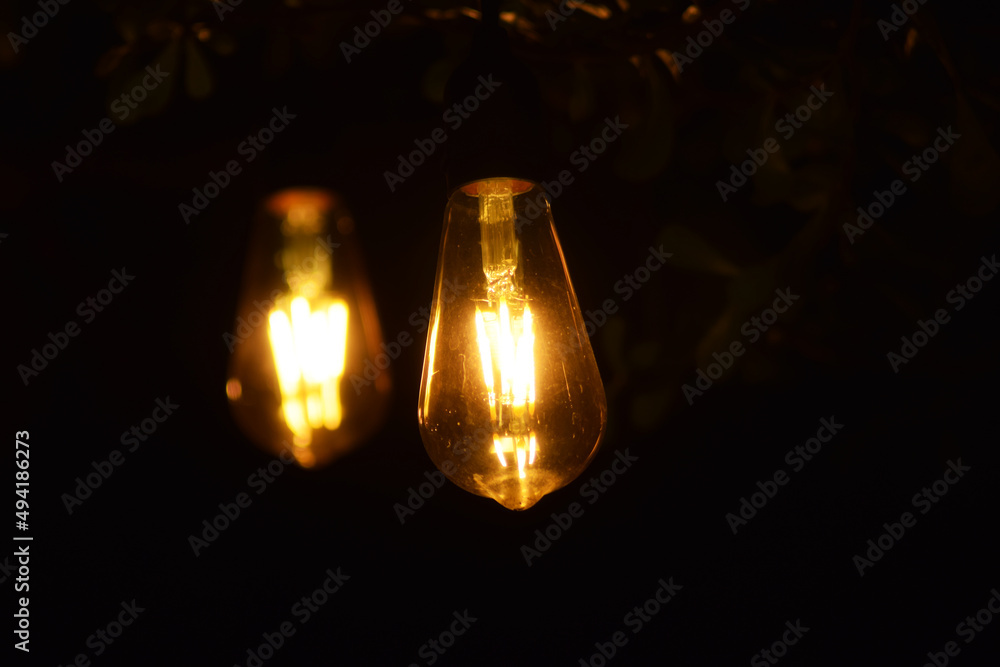 two bulb hanging on tree in the night two bulb hanging on tree in the night