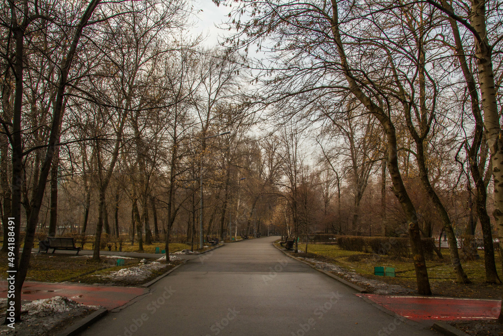 Fototapeta premium road in the park