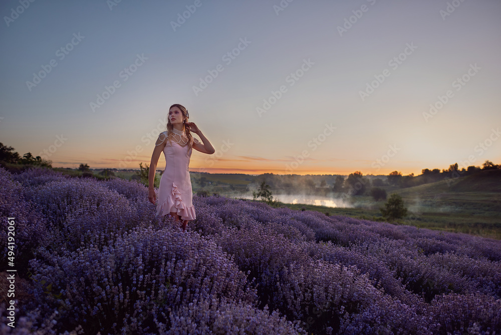 Woman in lavender flowers field at sunset in purple dress. France, Provence. Woman in lavender flowers field at sunset in purple dress. France, Provence.