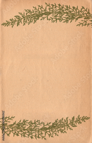 Old vintage rough paper background with green plant relief texture