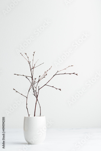 Branches in a white vase
