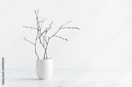 Branches in a white vase