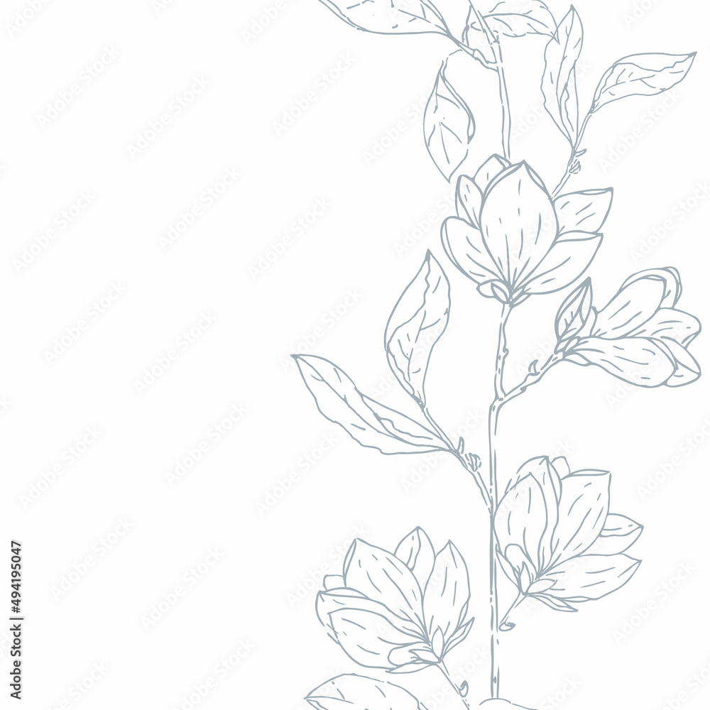 Fototapeta premium Vector Beautiful Delicate Magnolia Florals Lineart Border seamless pattern background. Perfect for fabric, scrapbooking and wallpaper projects.