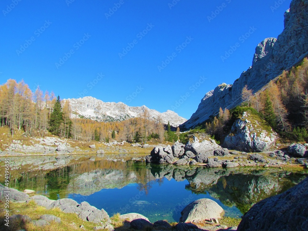View of double lake or dvojno jezero in Triglav lakes valley in Julian alps, Slovenia with autumn golden colored larch forest and peaks of Veliko Spicje in the back and a reflection in lake