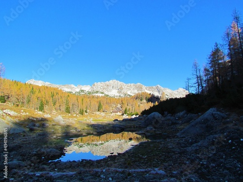 View of mountain lodge at Triglav lakes valley with rocky mountain peaks and autumn golden colored larch forest in the back and small lake with a reflection of woods and peaks in Slovenia