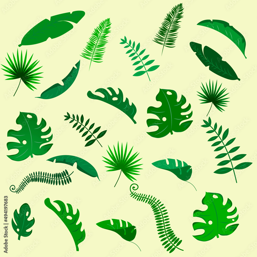 bushes of tropical leaves in green decoration bushes of tropical leaves in green decoration
