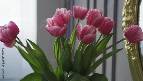 Spring tulips bouquet in vase Video HD