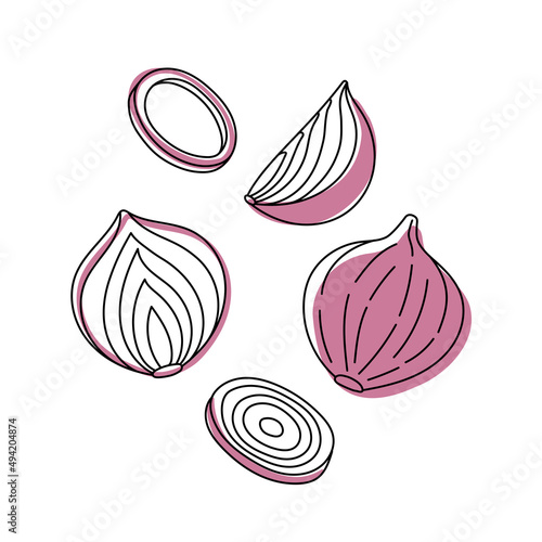 Onion Vegetable Vector Set – Doodle Style Whole and Sliced Onions – Perfect for Label, Packaging, and Pattern Design