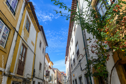Fototapeta Naklejka Na Ścianę i Meble -  Altstadtgasse in Tomar, Portugal
