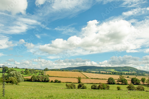 Summertime scenery around Herefordshire, England.