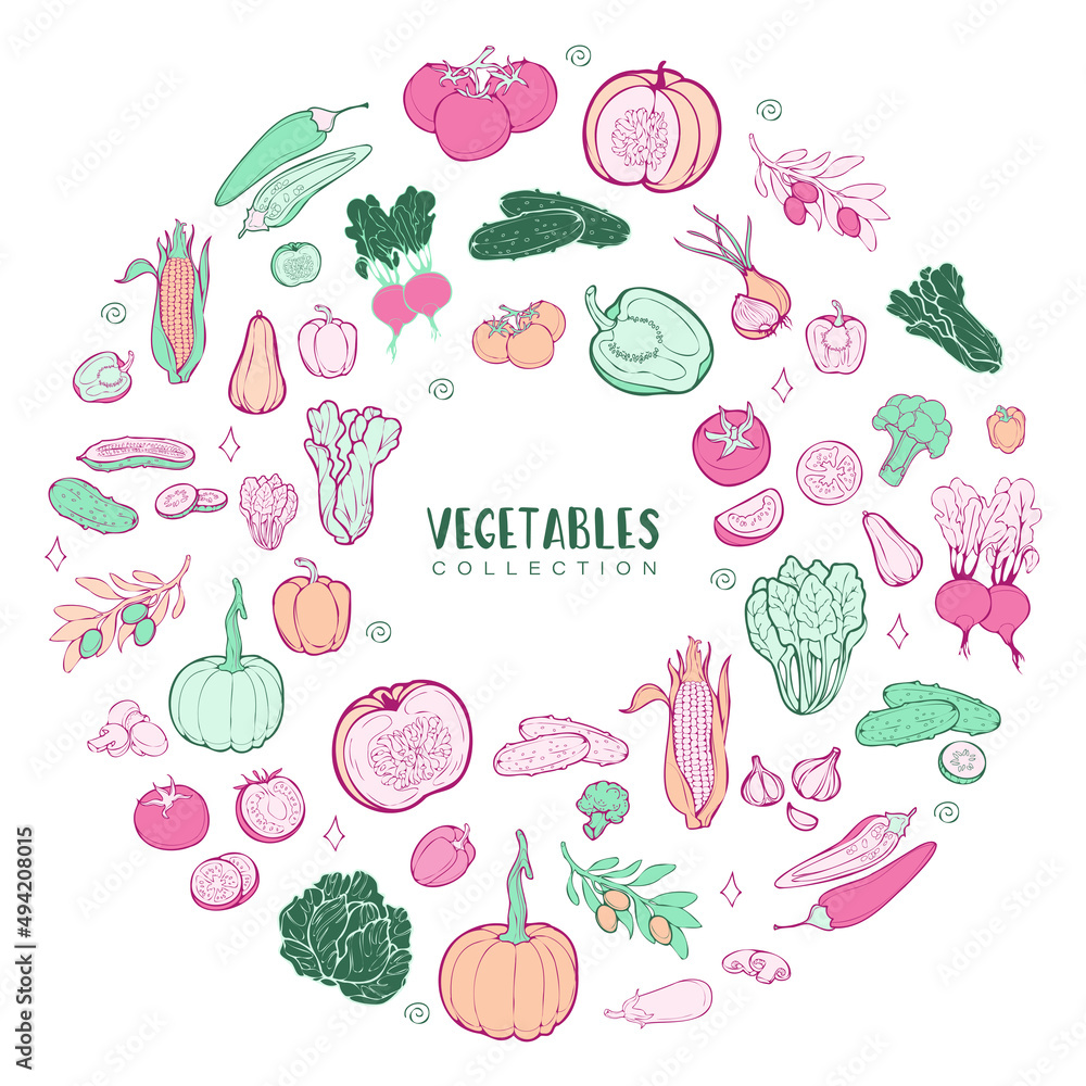 Big set of fresh vegetables and greens isolated on white background. Pastel colors and cartoon design. Korean style.