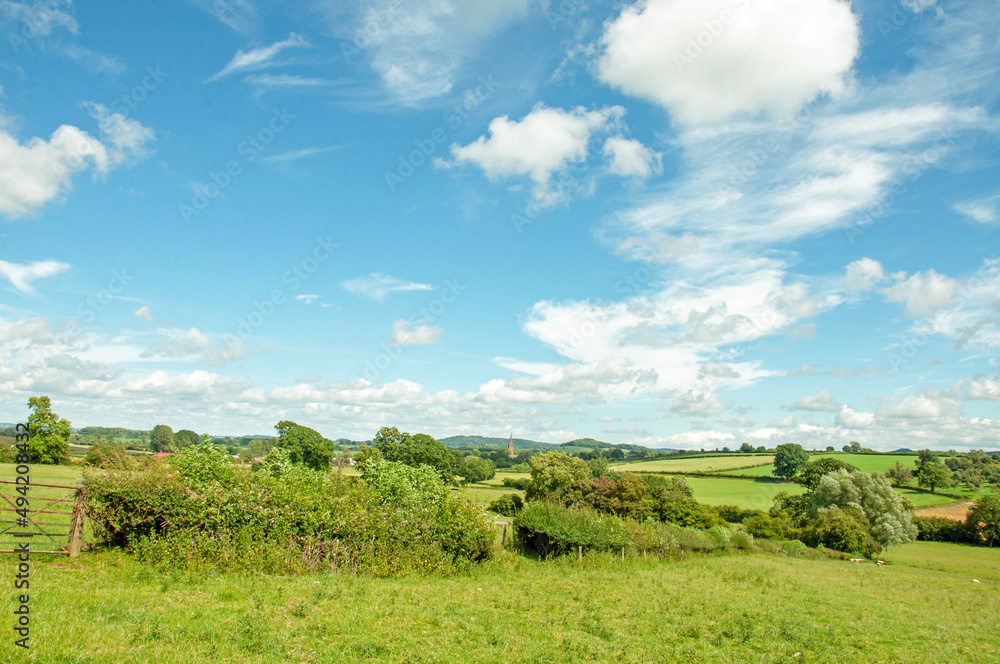 Fototapeta premium Summertime scenery around Herefordshire, England.