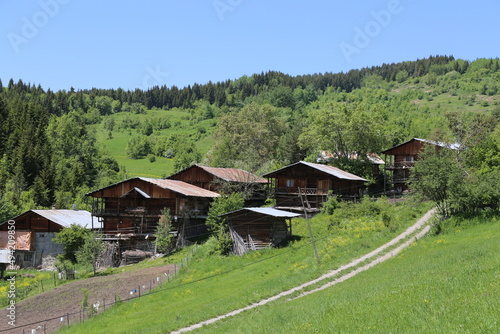 Wallpaper Mural amazing spring landscapes on a sunny day.ARTVİN.TURKEY Torontodigital.ca