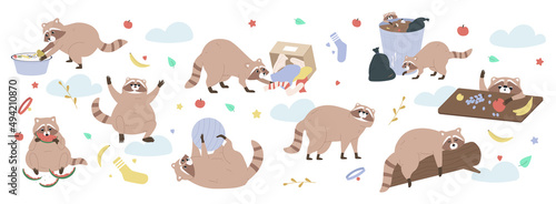Raccoon Flat Background
