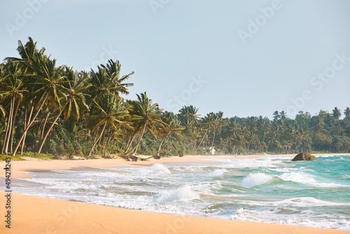Beautiful sand beach with palm trees. Ocean waves at coastline in Sri Lanka.