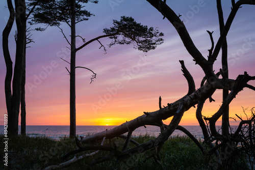 Fototapeta Naklejka Na Ścianę i Meble -  Sonnenuntergang am Ostsee Strand auf Fischland Darss Zingst