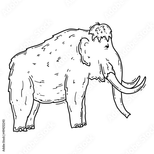 Mammoth prehistoric animal, elephant in the Stone Age vector linear illustration in doodle sketch style.