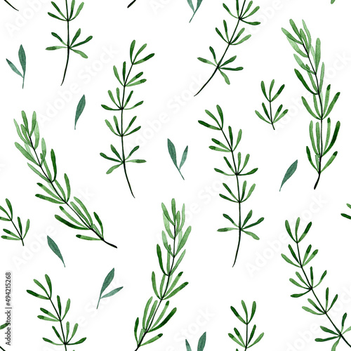 watercolor drawing. seamless pattern with leaves and branches of rosemary, lavender. print green rosemary leaves isolated on white background