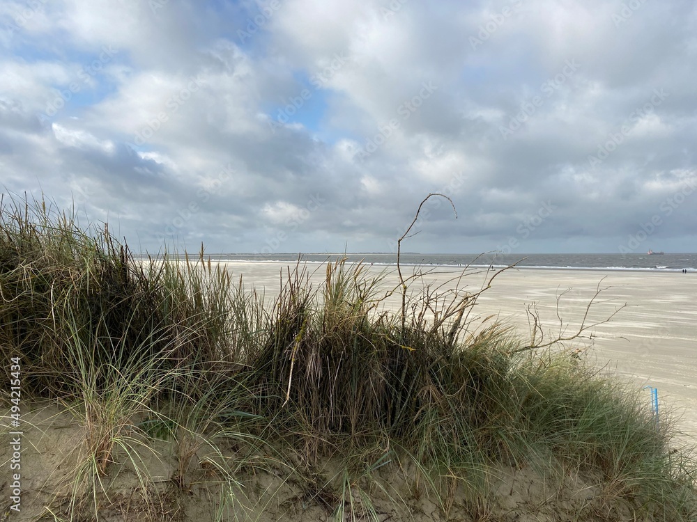 Obraz premium View from the dunes over the beach of Langeoog to the North Sea - Blick von den Dünen über den Strand von Langeoog auf die Nordsee mit der Insel Baltrum im Hintergrund