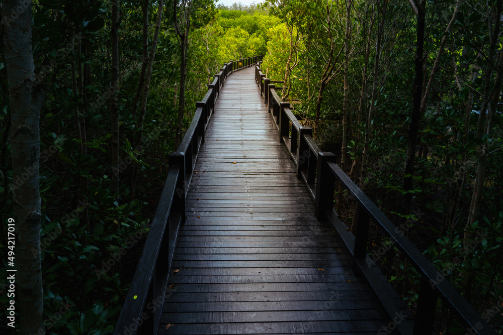 Wooden bridge in the forest. Mangrove forest park, Pran Buri, Prachuap Khiri Khan province in Thailand. Wooden bridge in the forest. Mangrove forest park, Pran Buri, Prachuap Khiri Khan province in Thailand.
