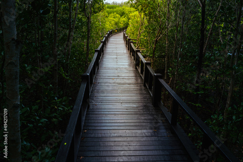 Wooden bridge in the forest. Mangrove forest park, Pran Buri, Prachuap Khiri Khan province in Thailand.