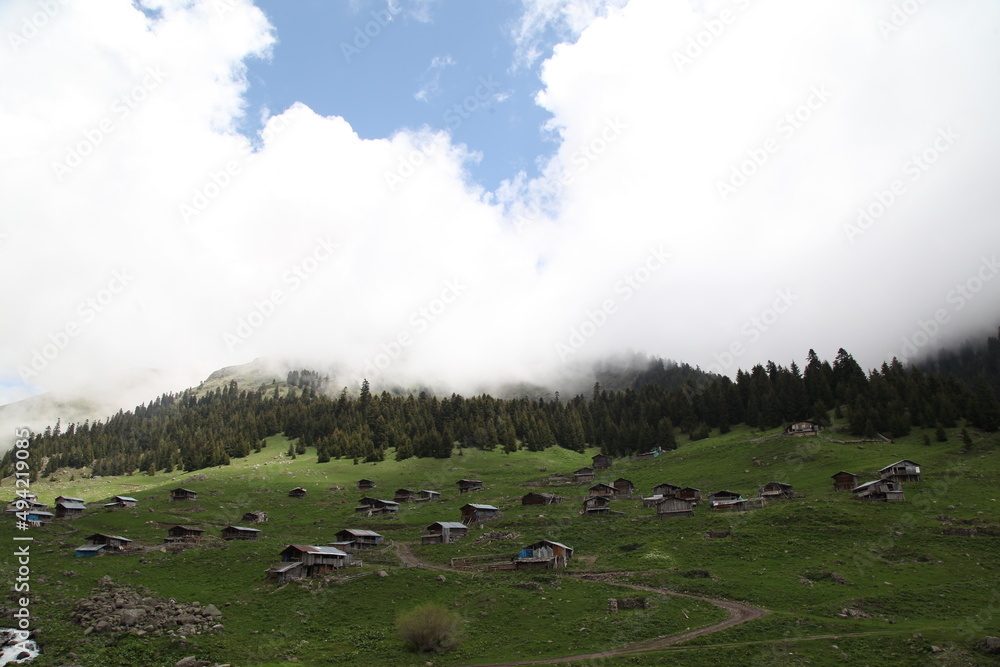 Obraz premium amazing spring landscapes on a sunny day.ARTVİN.TURKEY