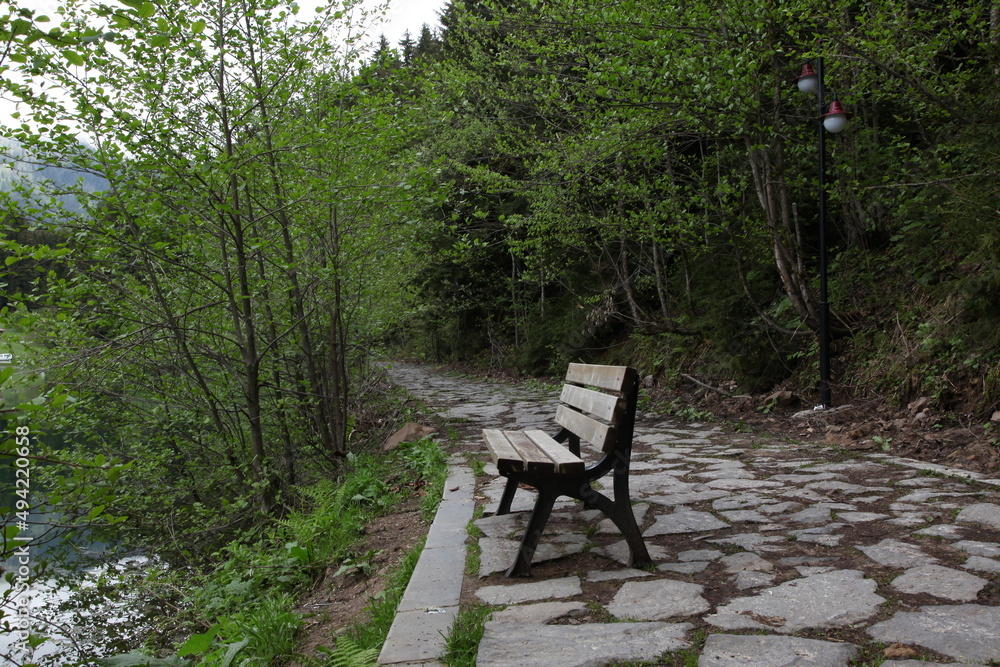 amazing spring landscapes on a sunny day.ARTVİN.TURKEY amazing spring landscapes on a sunny day.ARTVİN.TURKEY