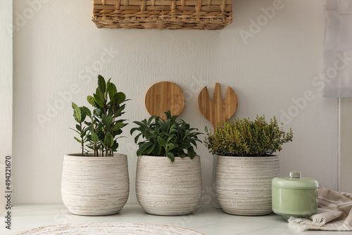 Fotografie Different aromatic potted herbs on countertop in kitchen
