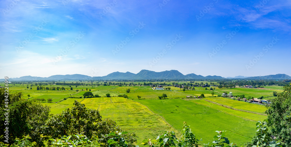 Rice field with mountain background with beautiful blue sky