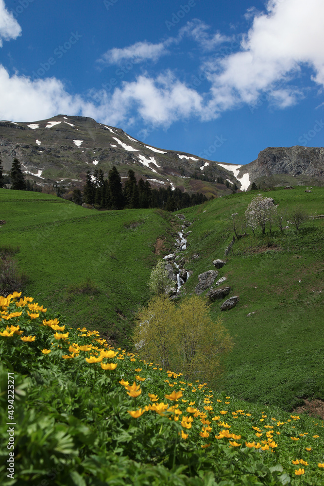 Fototapeta premium amazing spring landscapes on a sunny day.ARTVİN.TURKEY