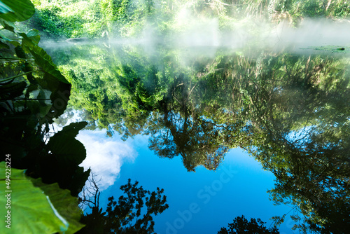 Tranquil landscape at a lake