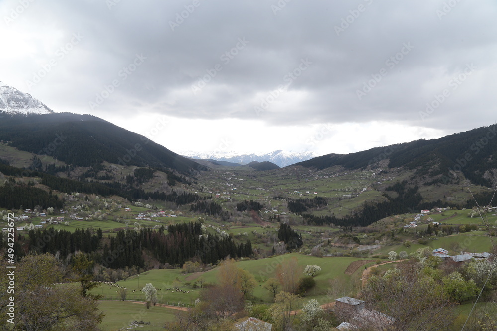 Fototapeta premium amazing spring landscapes on a sunny day.ARTVİN.TURKEY