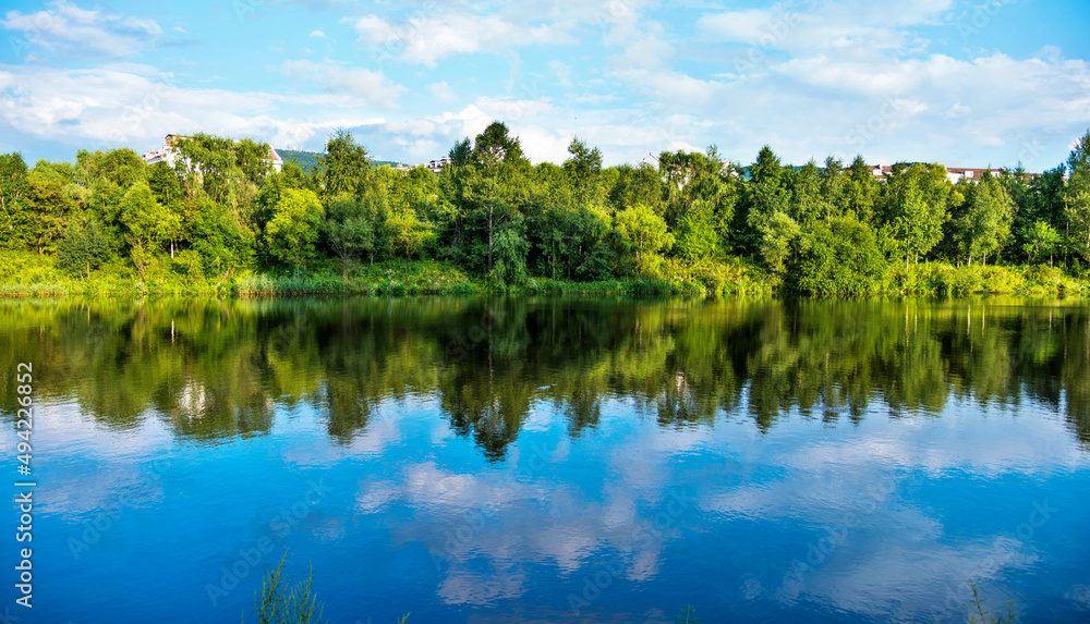 Green forest reflecting in the water Green forest reflecting in the water