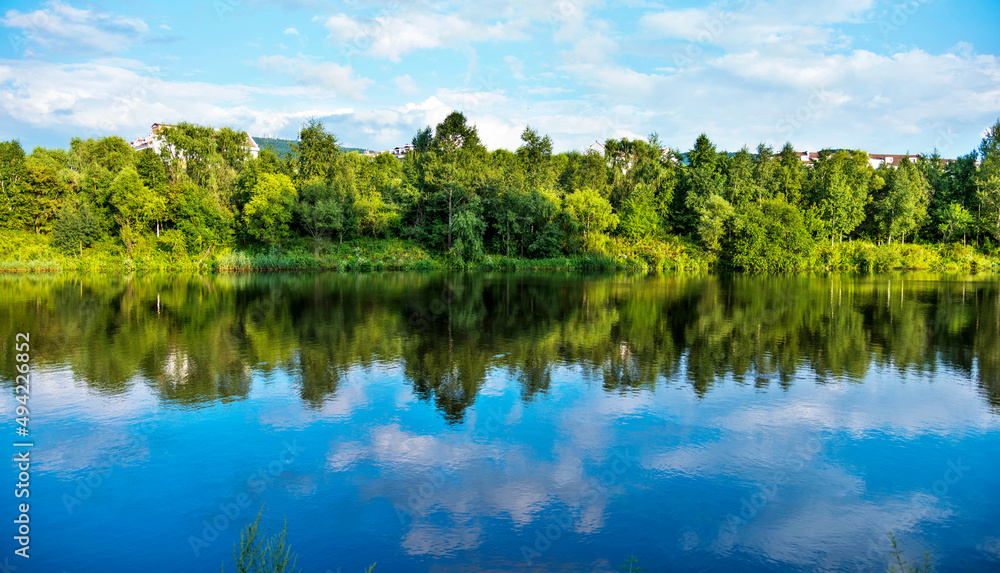 Green forest reflecting in the water