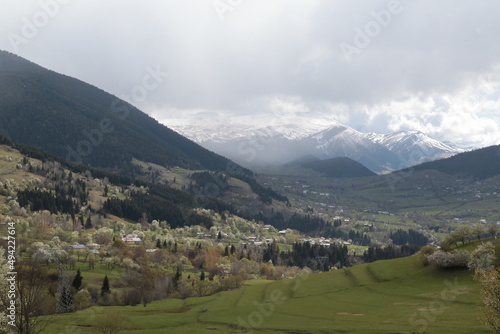 amazing spring landscapes on a sunny day.ARTVİN.TURKEY