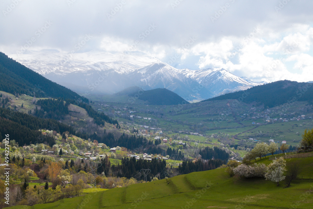 Fototapeta premium amazing spring landscapes on a sunny day.ARTVİN.TURKEY