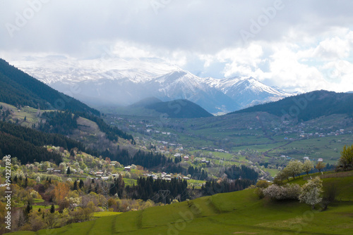 amazing spring landscapes on a sunny day.ARTVİN.TURKEY