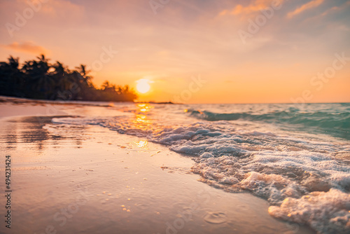 Beautiful blurred sunset over tropical paradise beach, waves splash. Tranquil summer vacation or holiday landscape. Relaxing sunset beach palm trees silhouette, calm sea exotic nature. Dream beach