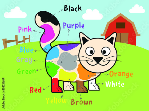 Poster for  learning  colors withCute cat photo